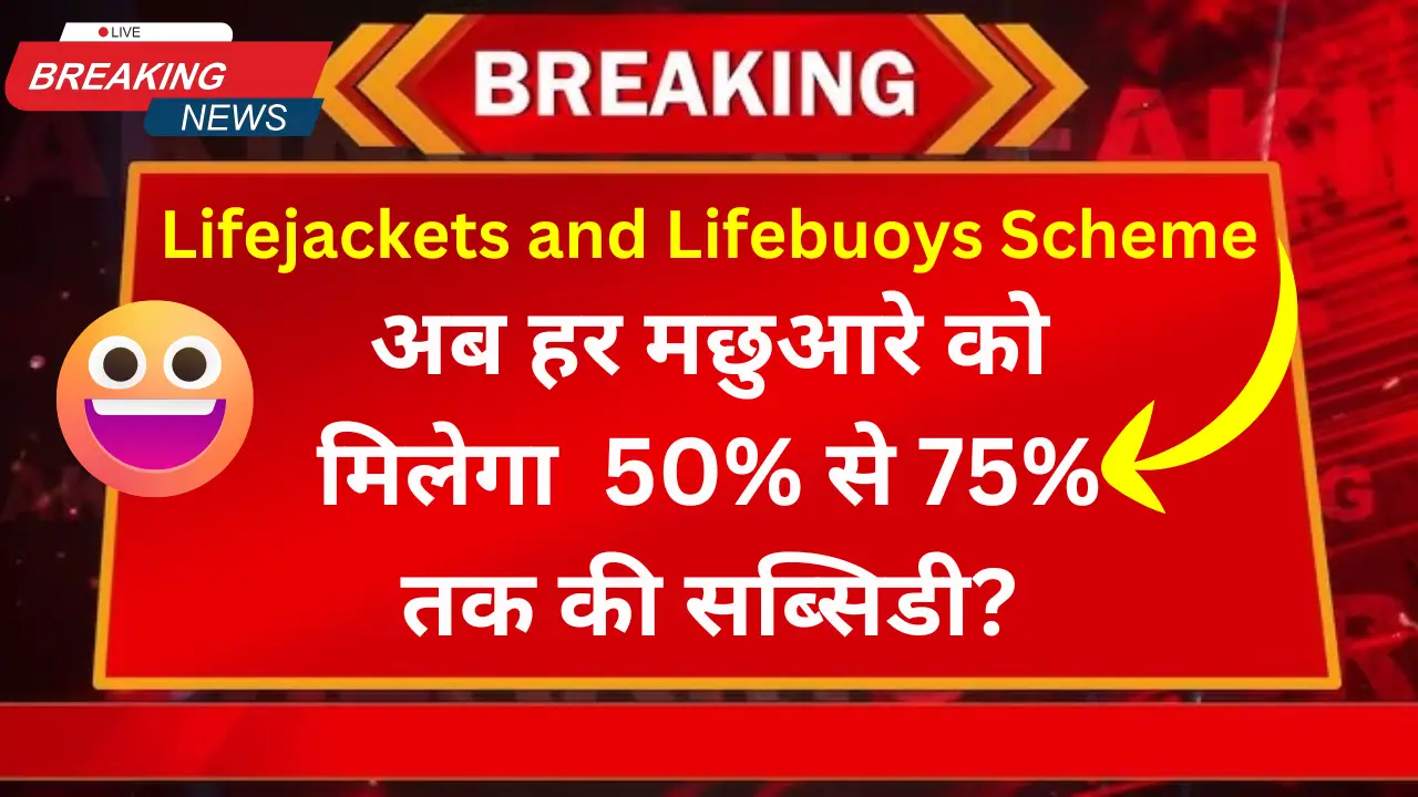 Lifejackets and Lifebuoys Scheme