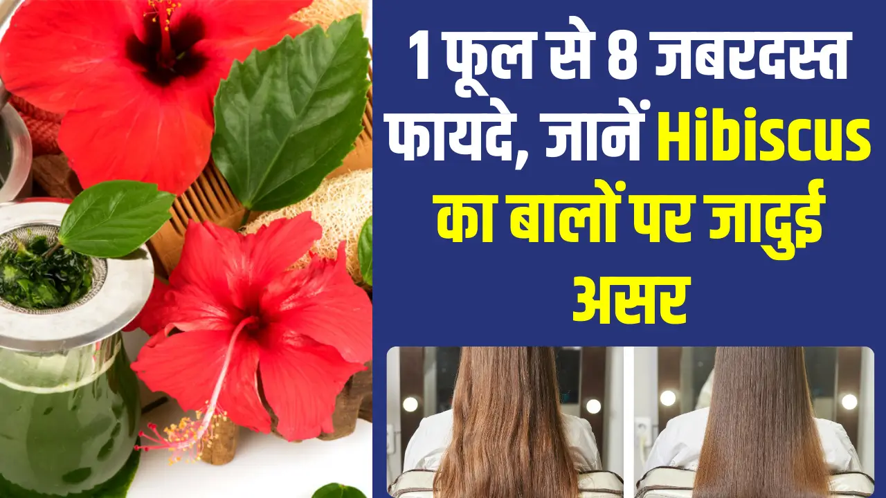 Hibiscus for Healthy Hair
