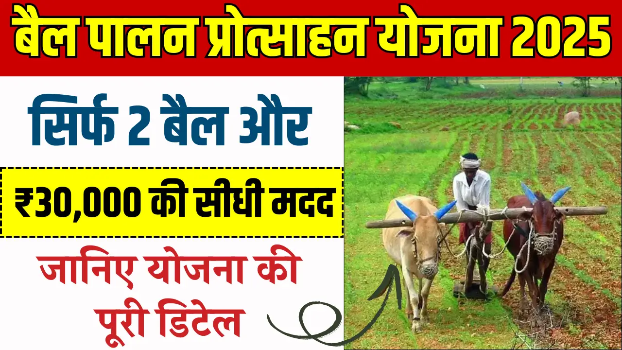 Farmer Subsidy Scheme 2025